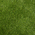 LimeGreen Papilio Kunstgras