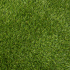 LimeGreen Papilio Kunstgras