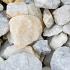 White Rocks 40-80